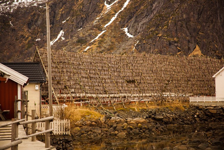 Svinøya Rorbuer i Lofoten hjeller